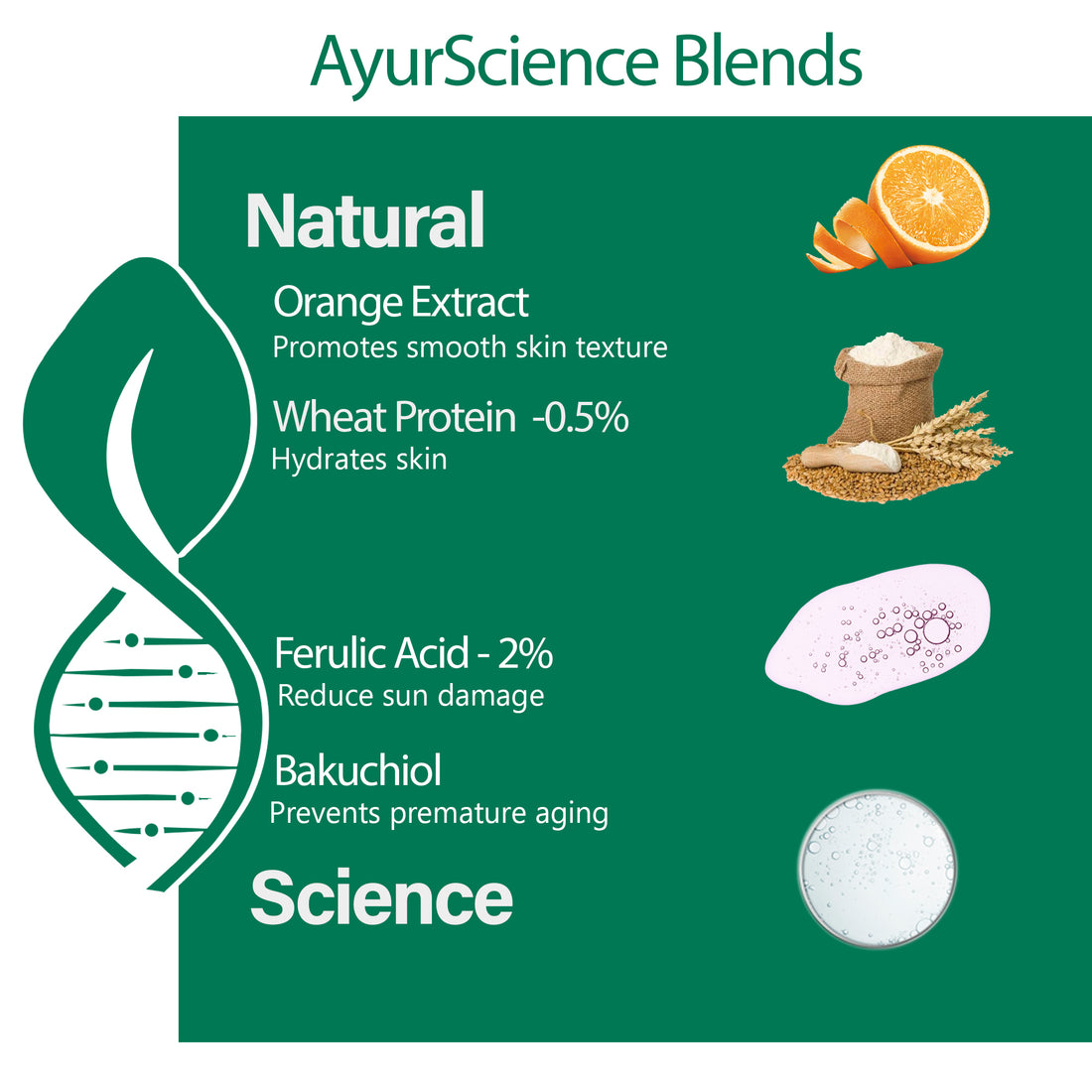 Intense Anti Acne Serum (2% Ferulic Acid and Bakuchiol, 0.5% Wheat Protien) for Blackheads & Open pores
